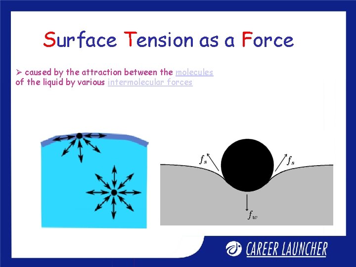 Surface Tension as a Force Ø caused by the attraction between the molecules of