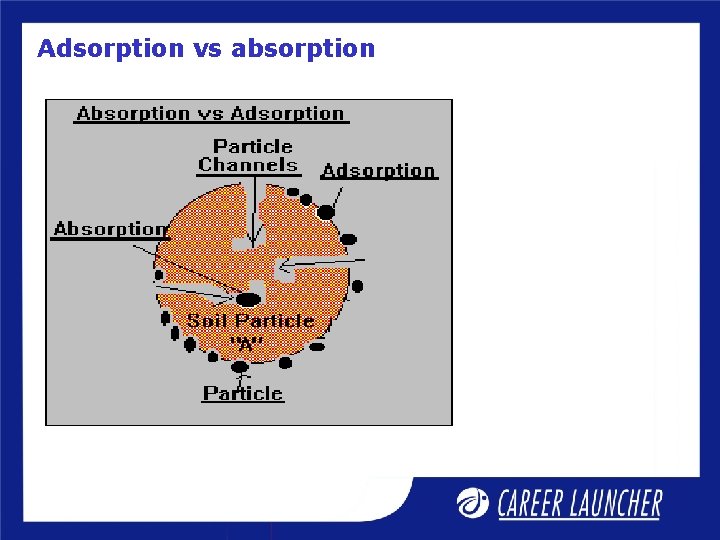 Adsorption vs absorption 