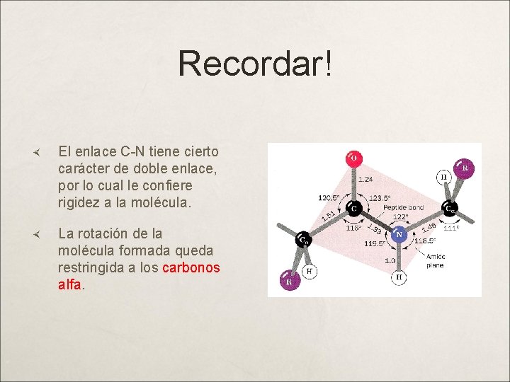 Recordar! El enlace C-N tiene cierto carácter de doble enlace, por lo cual le