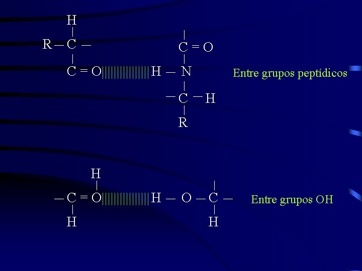 H R C C=O H N C Entre grupos peptídicos H R H C=O