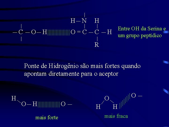 H N C O H O=C H C Entre OH da Serina e um