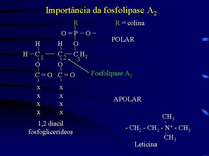 Importância da fosfolipase A 2 R O=P H R = colina O H C