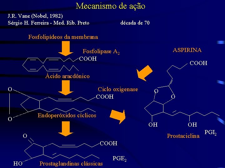 Mecanismo de ação J. R. Vane (Nobel, 1982) Sérgio H. Ferreira - Med. Rib.