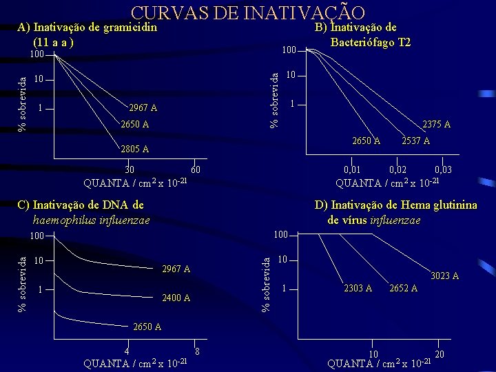 CURVAS DE INATIVAÇÃO 100 10 10 1 % sobrevida A) Inativação de gramicidin (11