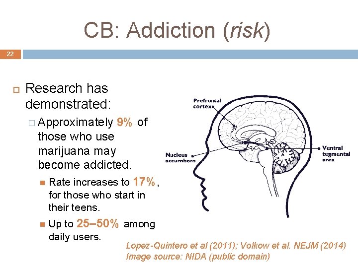 CB: Addiction (risk) 22 Research has demonstrated: � Approximately 9% of those who use CB: Addiction (risk) 22 Research has demonstrated: � Approximately 9% of those who use