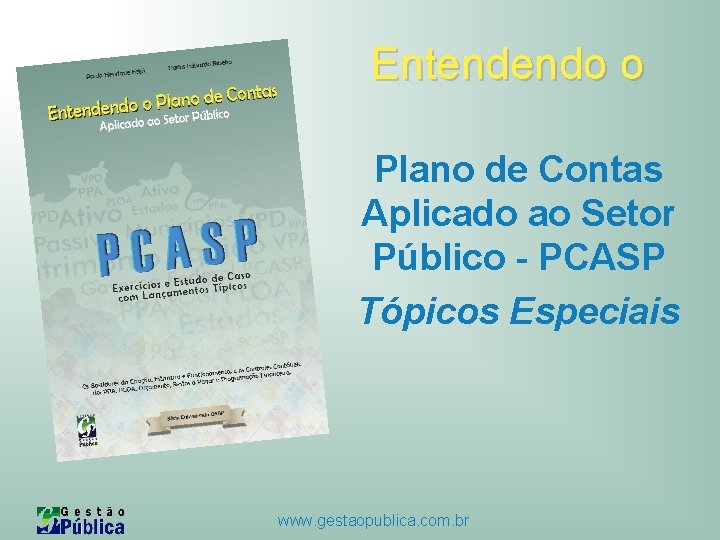 Entendendo o Plano de Contas Aplicado ao Setor Público - PCASP Tópicos Especiais www. Entendendo o Plano de Contas Aplicado ao Setor Público - PCASP Tópicos Especiais www.
