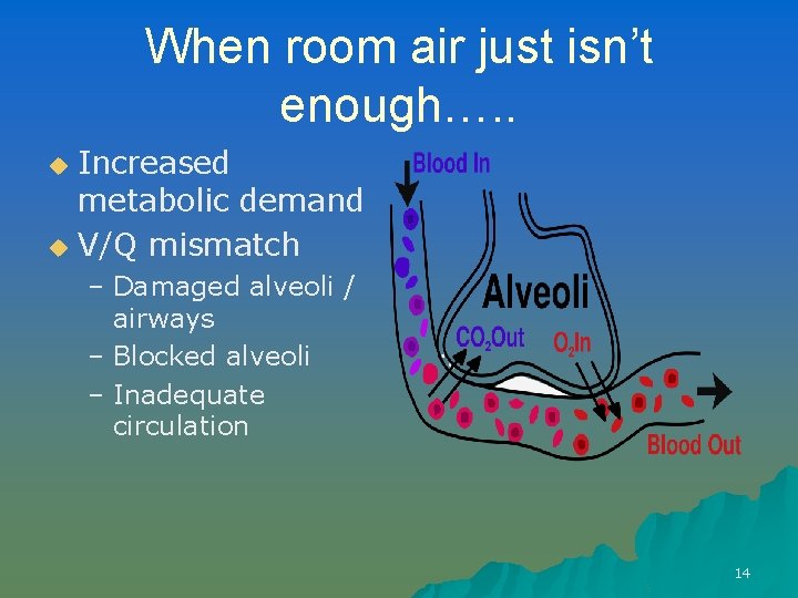 When room air just isn’t enough…. . Increased metabolic demand u V/Q mismatch u