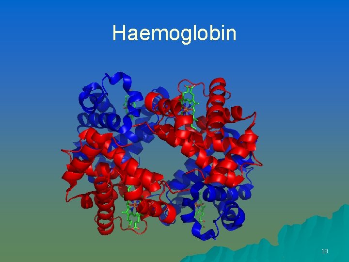 Haemoglobin 18 