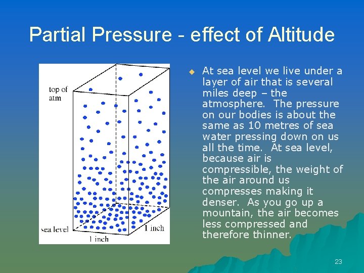 Partial Pressure - effect of Altitude u At sea level we live under a