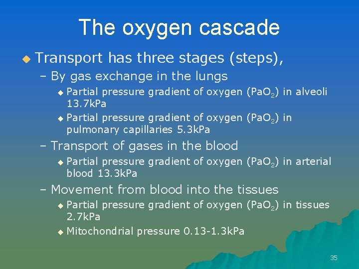 The oxygen cascade u Transport has three stages (steps), – By gas exchange in