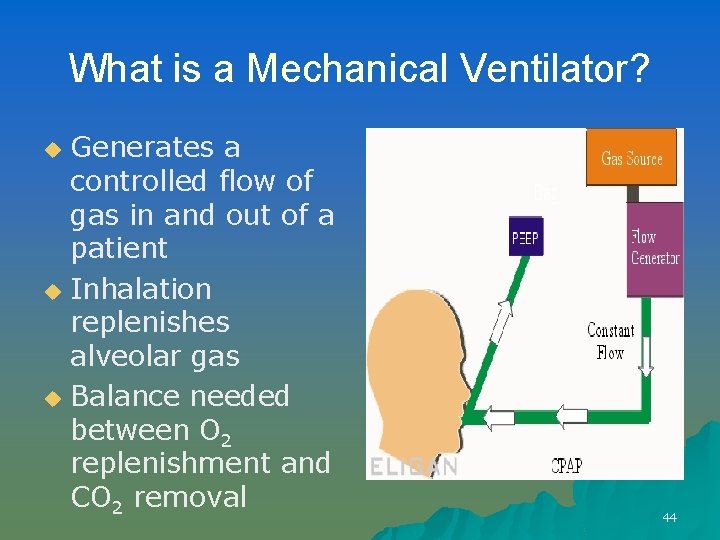 What is a Mechanical Ventilator? Generates a controlled flow of gas in and out