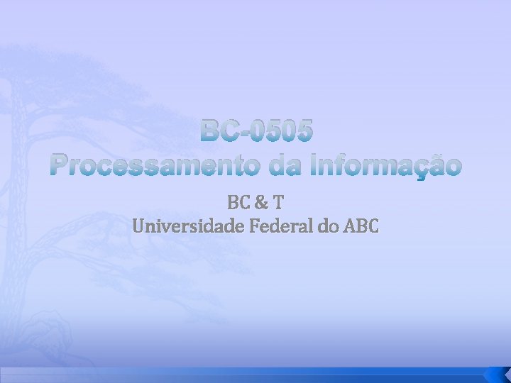 BC-0505 Processamento da Informação BC & T Universidade Federal do ABC 