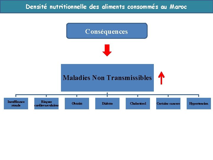 Densité nutritionnelle des aliments consommés au Maroc Conséquences Maladies Non Transmissibles Insuffisance rénale Risques