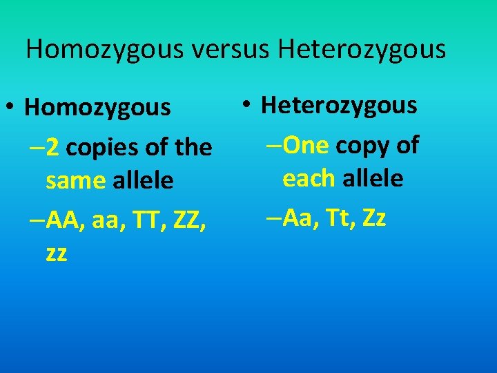 Homozygous versus Heterozygous • Homozygous – 2 copies of the same allele –AA, aa,