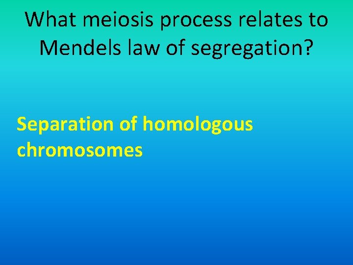 What meiosis process relates to Mendels law of segregation? Separation of homologous chromosomes 