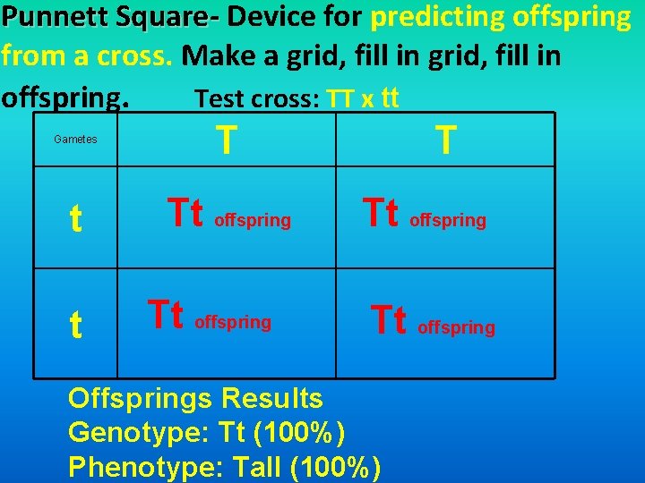 Punnett Square- Device for predicting offspring from a cross. Make a grid, fill in