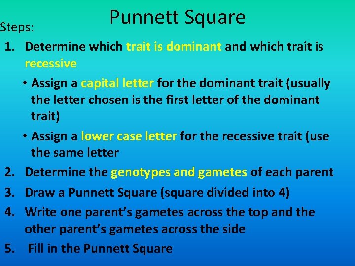 Punnett Square Steps: 1. Determine which trait is dominant and which trait is recessive