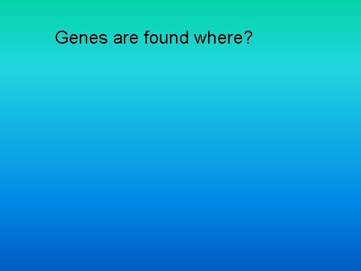 Genes are found where? 
