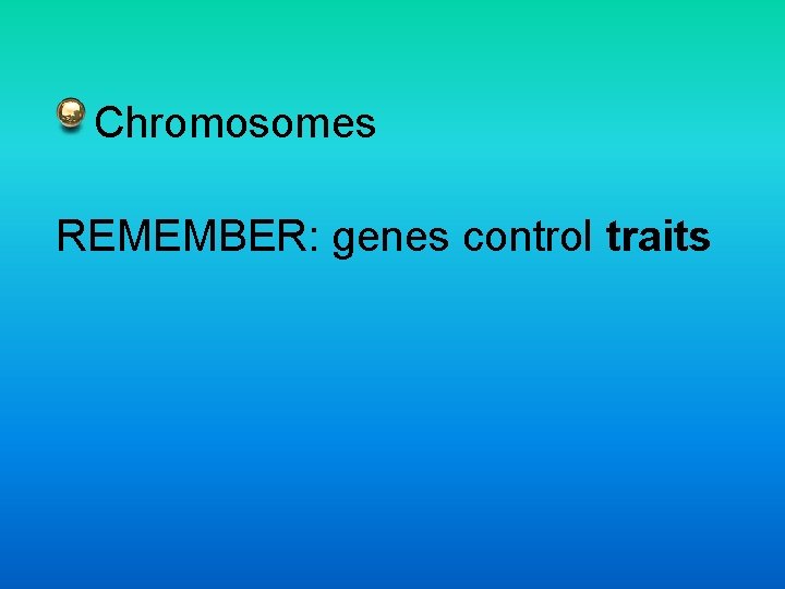 Chromosomes REMEMBER: genes control traits 