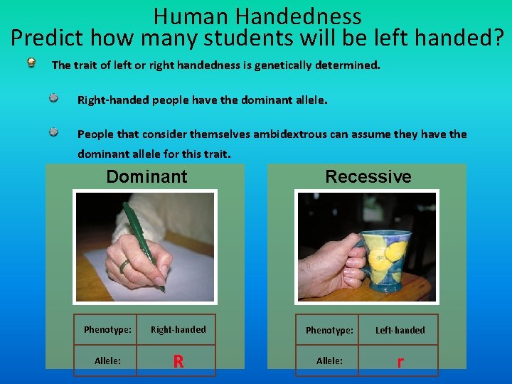 Human Handedness Predict how many students will be left handed? The trait of left