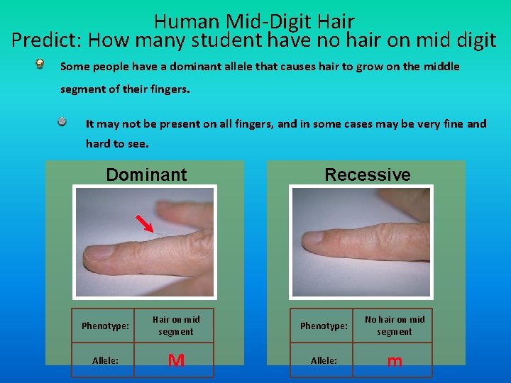 Human Mid-Digit Hair Predict: How many student have no hair on mid digit Some