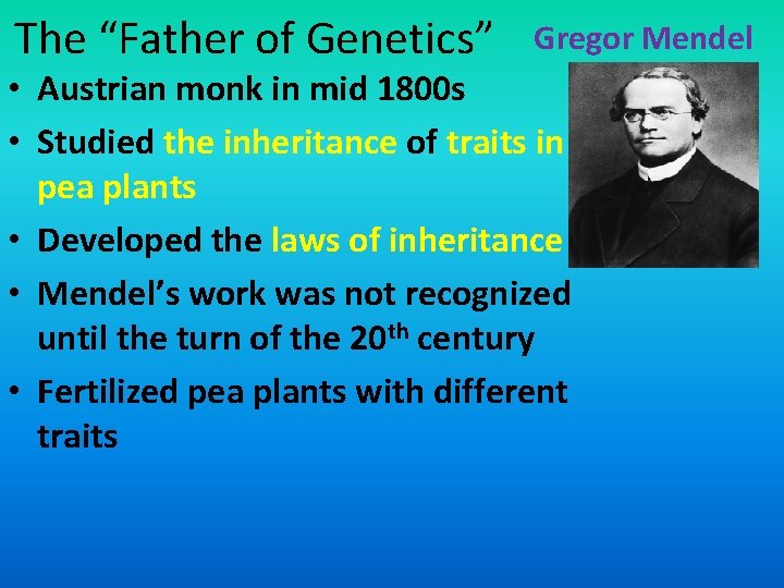 The “Father of Genetics” Gregor Mendel • Austrian monk in mid 1800 s •