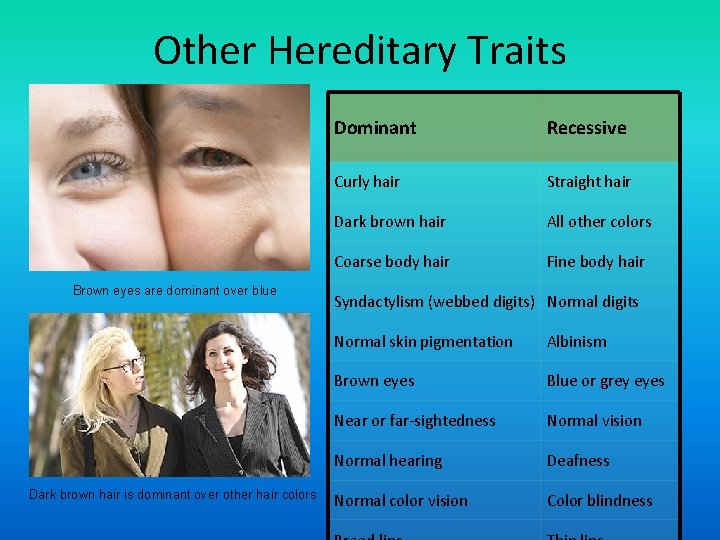 Other Hereditary Traits Brown eyes are dominant over blue Dark brown hair is dominant