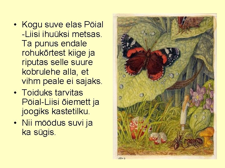  • Kogu suve elas Pöial -Liisi ihuüksi metsas. Ta punus endale rohukõrtest kiige