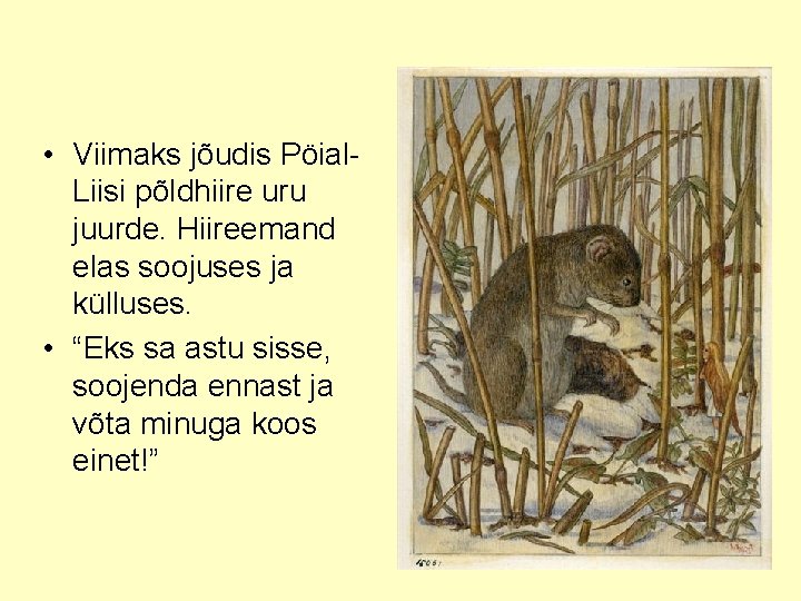  • Viimaks jõudis Pöial. Liisi põldhiire uru juurde. Hiireemand elas soojuses ja külluses.