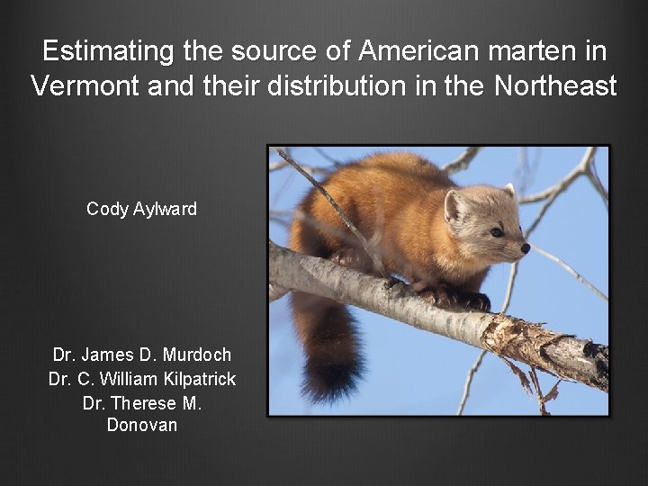 Estimating the source of American marten in Vermont and their distribution in the Northeast