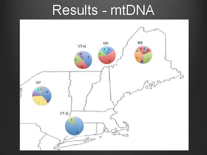 Results - mt. DNA VT-N NY VT-S NH ME 