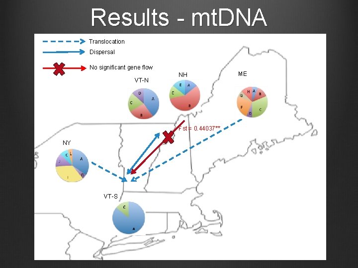 Results - mt. DNA Translocation Dispersal No significant gene flow VT-N NH Fst =