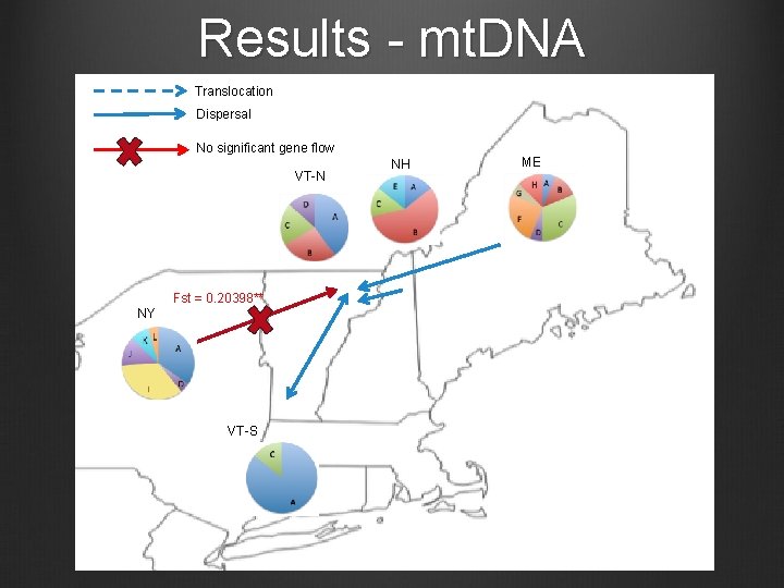 Results - mt. DNA Translocation Dispersal No significant gene flow VT-N Fst = 0.