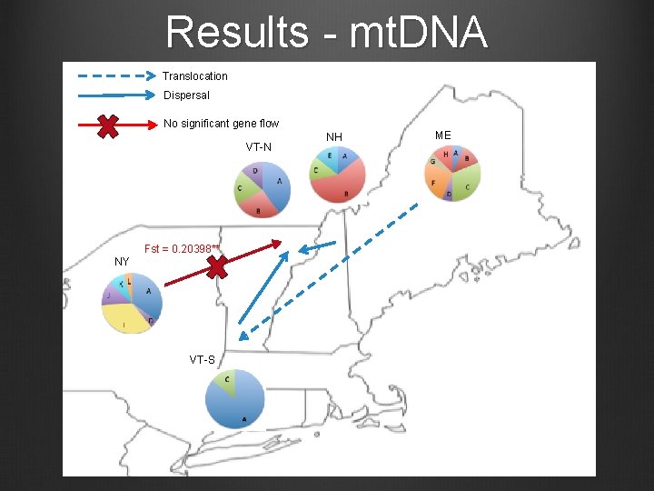 Results - mt. DNA Translocation Dispersal No significant gene flow VT-N Fst = 0.