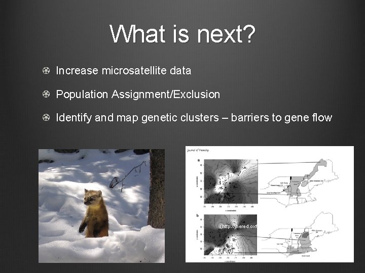 What is next? Increase microsatellite data Population Assignment/Exclusion Identify and map genetic clusters –