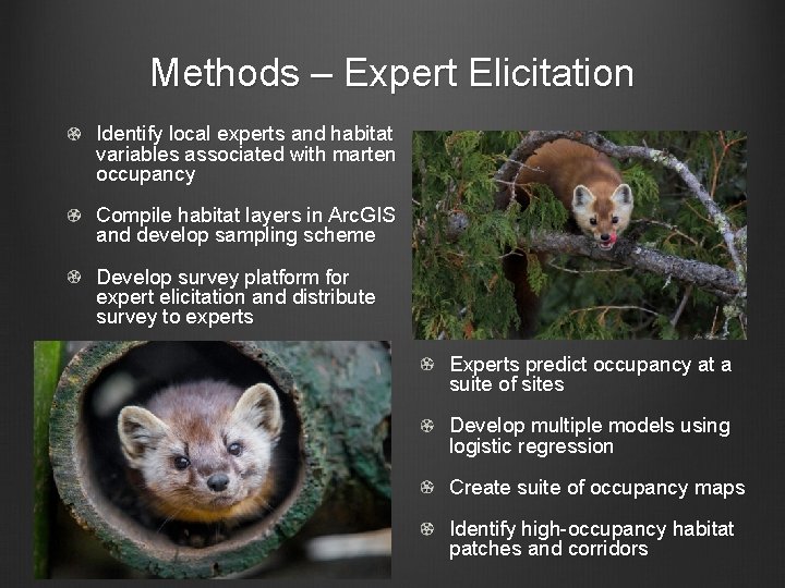 Methods – Expert Elicitation Identify local experts and habitat variables associated with marten occupancy