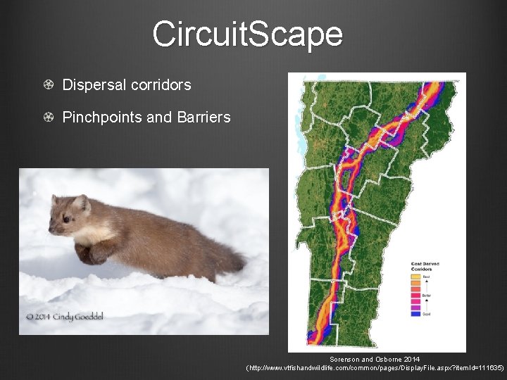 Circuit. Scape Dispersal corridors Pinchpoints and Barriers Sorenson and Osborne 2014 (http: //www. vtfishandwildlife.