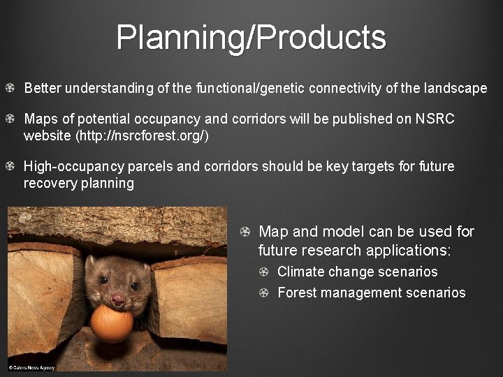 Planning/Products Better understanding of the functional/genetic connectivity of the landscape Maps of potential occupancy