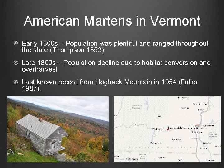 American Martens in Vermont Early 1800 s – Population was plentiful and ranged throughout