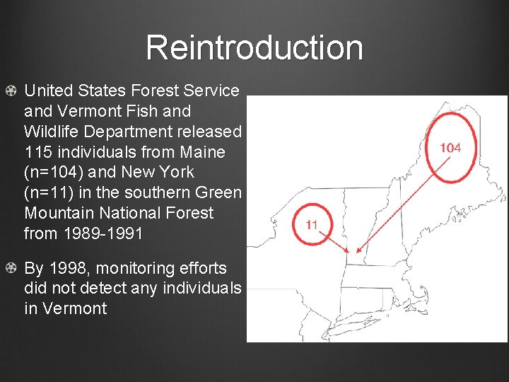 Reintroduction United States Forest Service and Vermont Fish and Wildlife Department released 115 individuals