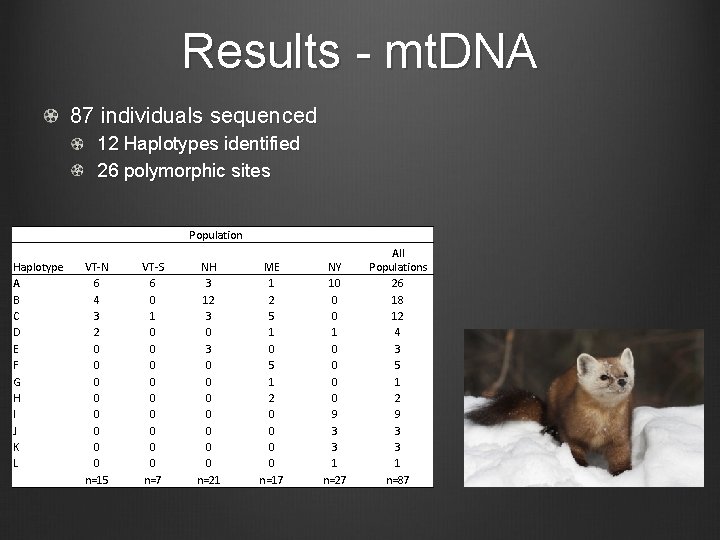 Results - mt. DNA 87 individuals sequenced 12 Haplotypes identified 26 polymorphic sites Haplotype