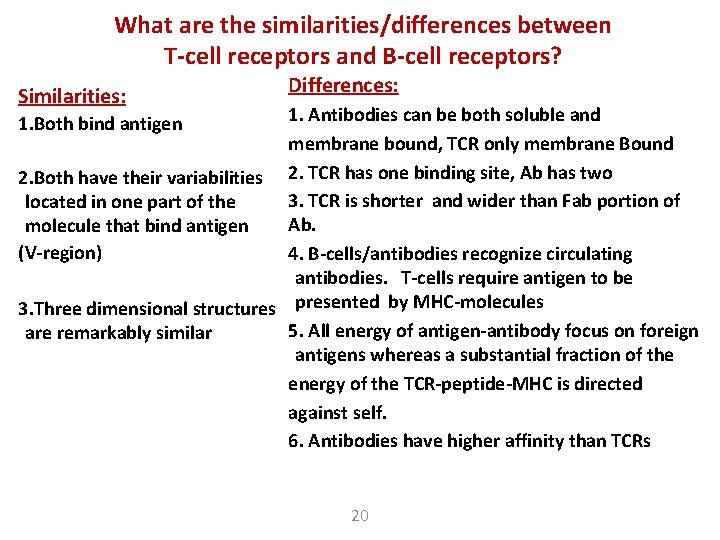 What are the similarities/differences between T-cell receptors and B-cell receptors? Similarities: Differences: 1. Antibodies