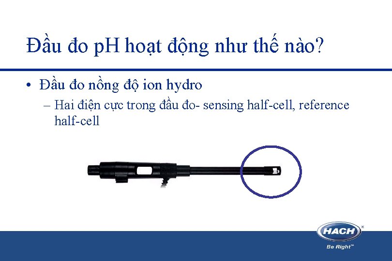Đầu đo p. H hoạt động như thế nào? • Đầu đo nồng độ Đầu đo p. H hoạt động như thế nào? • Đầu đo nồng độ