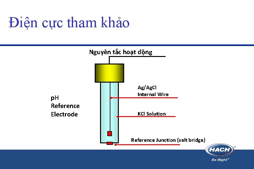 Điện cực tham khảo Nguyên tắc hoạt động p. H Reference Electrode Ag/Ag. Cl Điện cực tham khảo Nguyên tắc hoạt động p. H Reference Electrode Ag/Ag. Cl