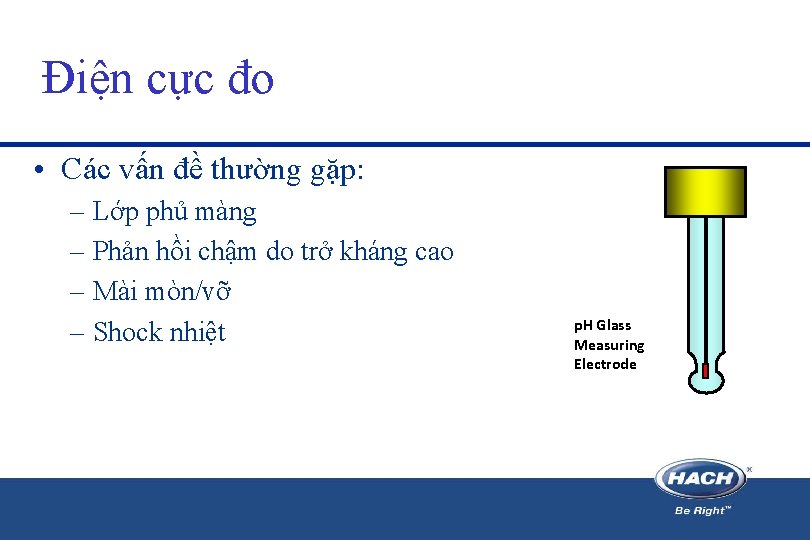 Điện cực đo • Các vấn đề thường gặp: – Lớp phủ màng – Điện cực đo • Các vấn đề thường gặp: – Lớp phủ màng –