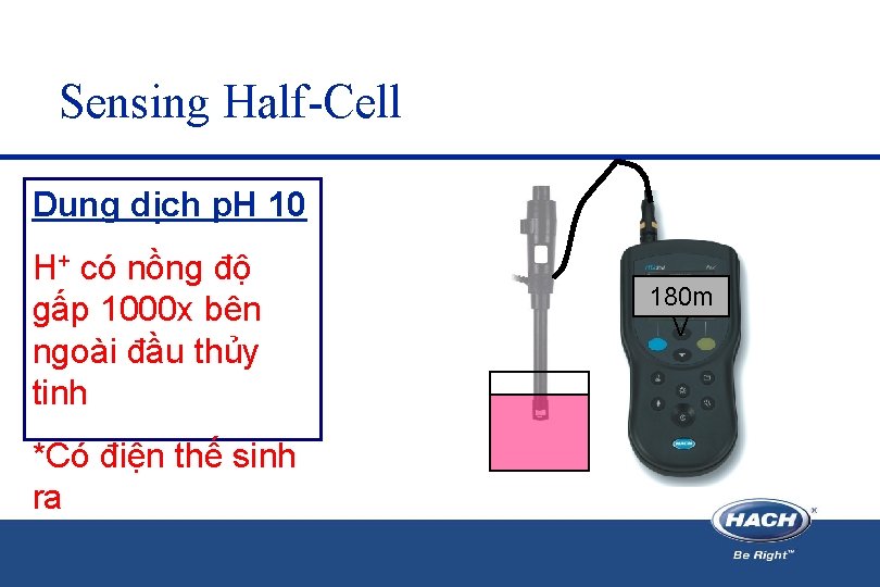 Sensing Half-Cell Dung dịch p. H 10 H+ có nồng độ gấp 1000 x Sensing Half-Cell Dung dịch p. H 10 H+ có nồng độ gấp 1000 x