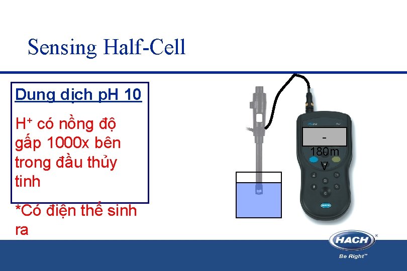 Sensing Half-Cell Dung dịch p. H 10 H+ có nồng độ gấp 1000 x Sensing Half-Cell Dung dịch p. H 10 H+ có nồng độ gấp 1000 x