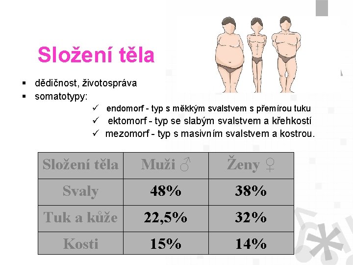 Složení těla § dědičnost, životospráva § somatotypy: endomorf - typ s měkkým svalstvem s