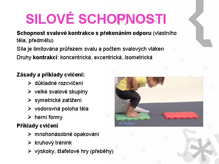 SILOVÉ SCHOPNOSTI Schopnost svalové kontrakce s překonáním odporu (vlastního těla, předmětu) Síla je limitována