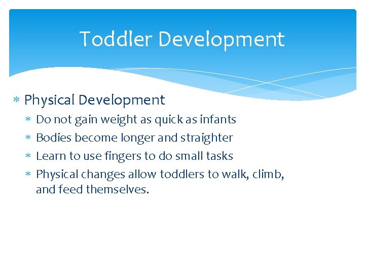 Toddler Development Physical Development Do not gain weight as quick as infants Bodies become